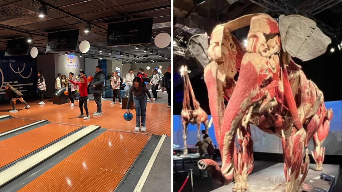 Gerçek Hayvanların Anatomi Sergisi ve Bowling Etkinliği Gezisi Yapıldı
