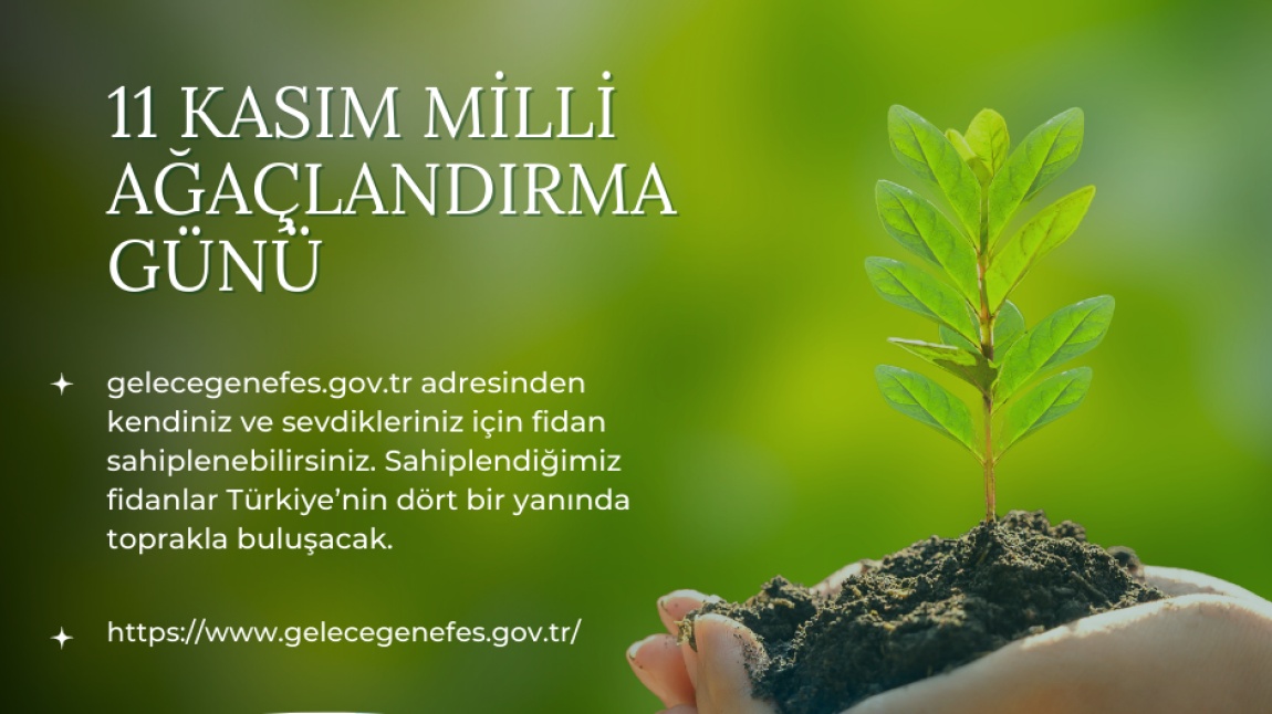 11 Kasım Milli Ağaçlandırma Günü